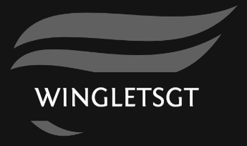 WINGLETS GLOBAL TRADING PRIVATE LIMITED